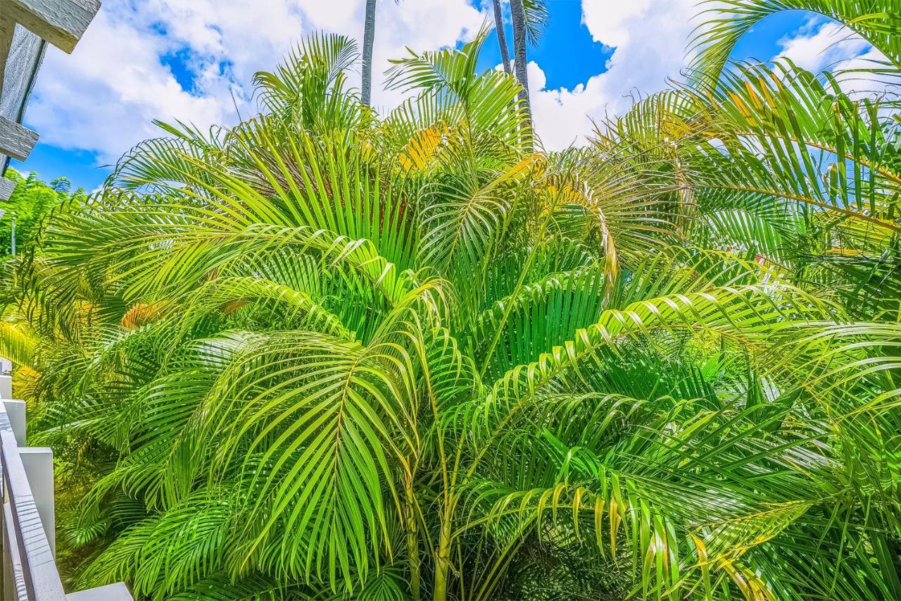 Apartmán Plantation Hale A10 Kapa'a Exteriér fotografie